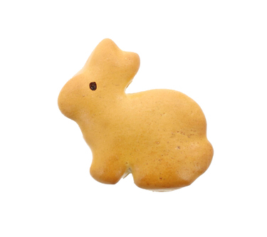 Lapin Brioché 80g